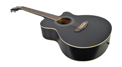 Acoustic Guitar in Choice of Colour 